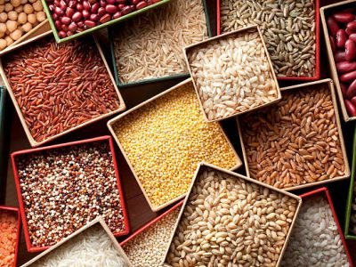 Varieties of grains seeds and beans. Varieties of grains seeds and beans.